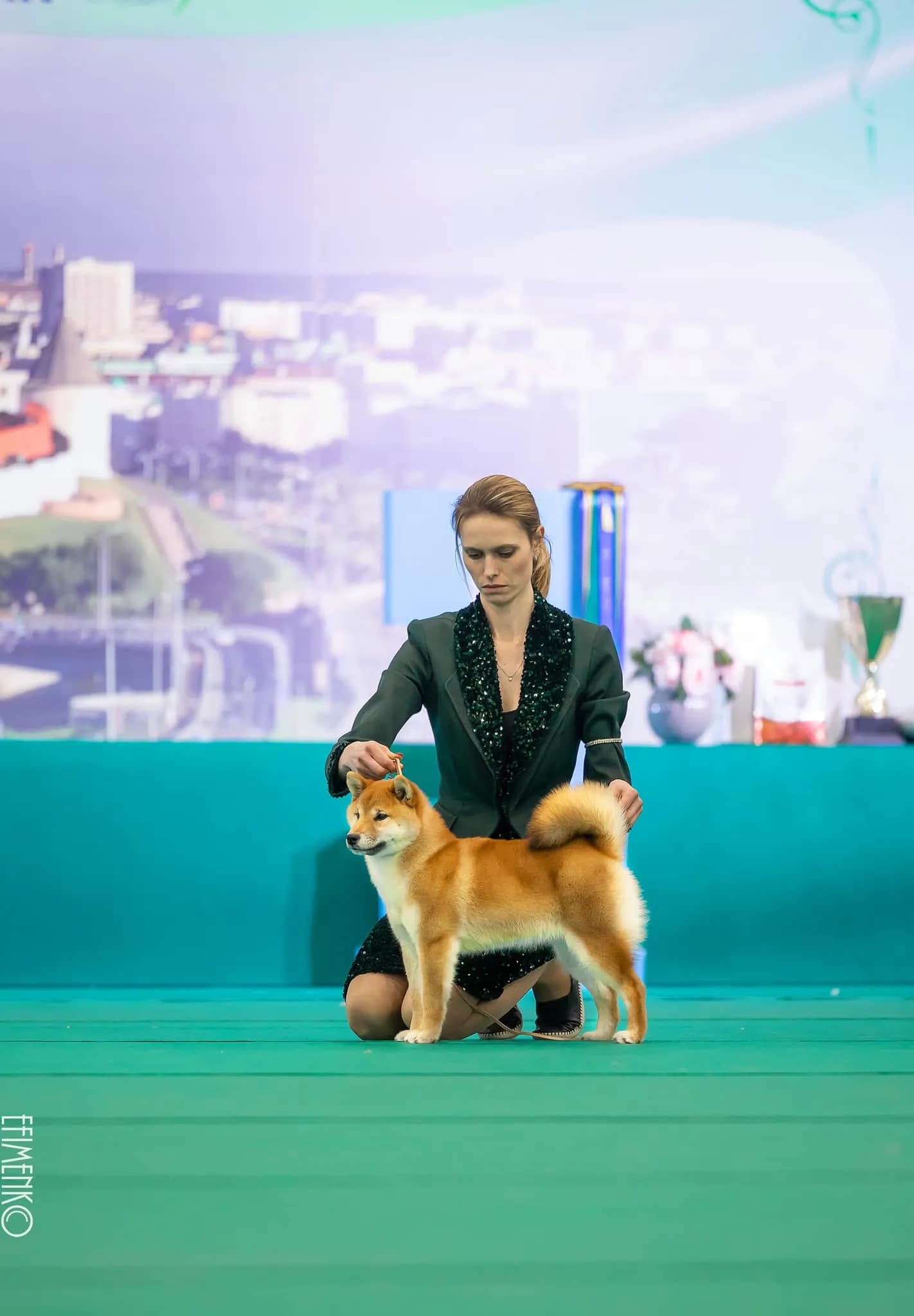 TERRA ASTREYA YAMASAKURA - фон