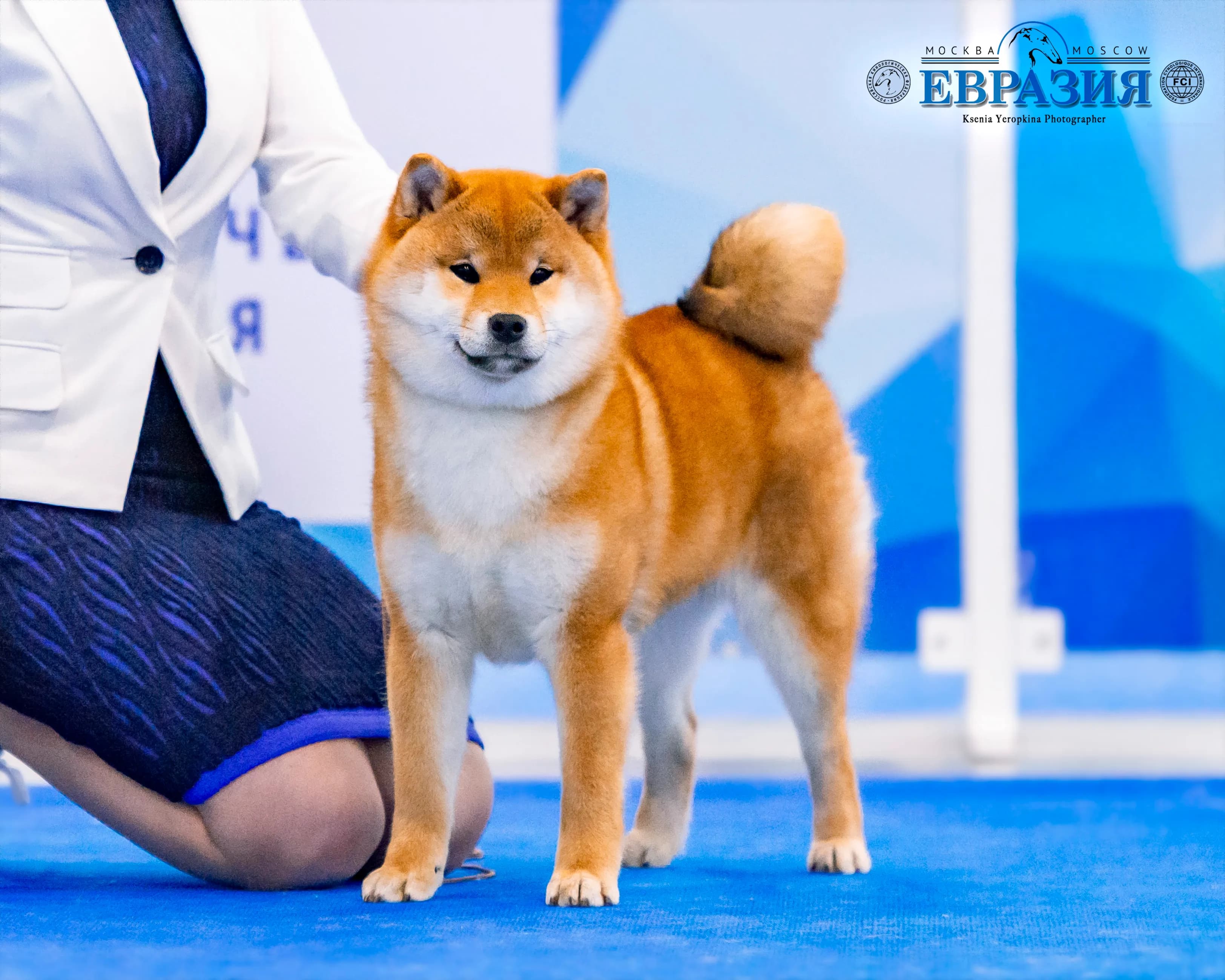 TERRA ASTREYA MOTOYA