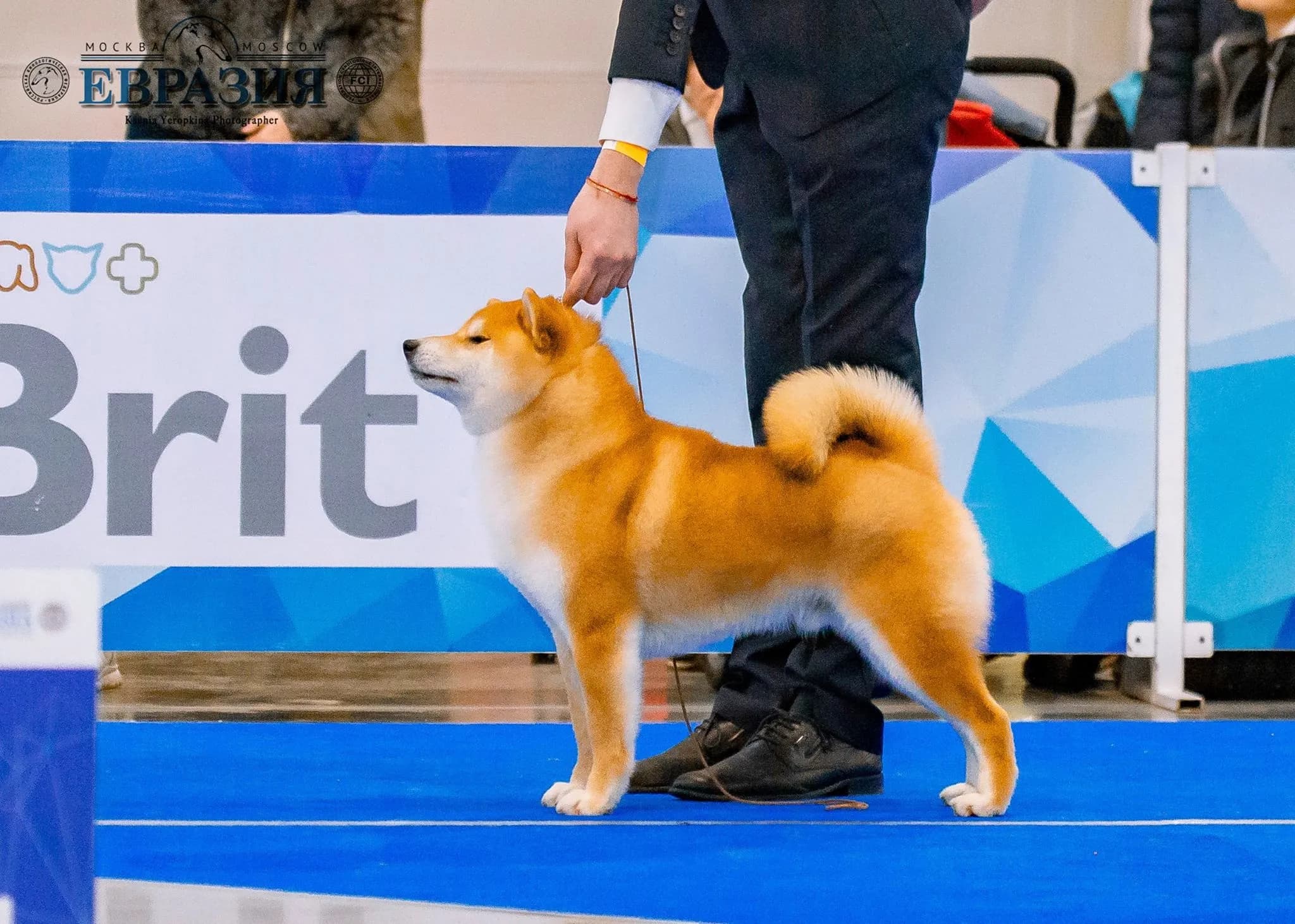 TERRA ASTREYA AKIRA ICHIRO