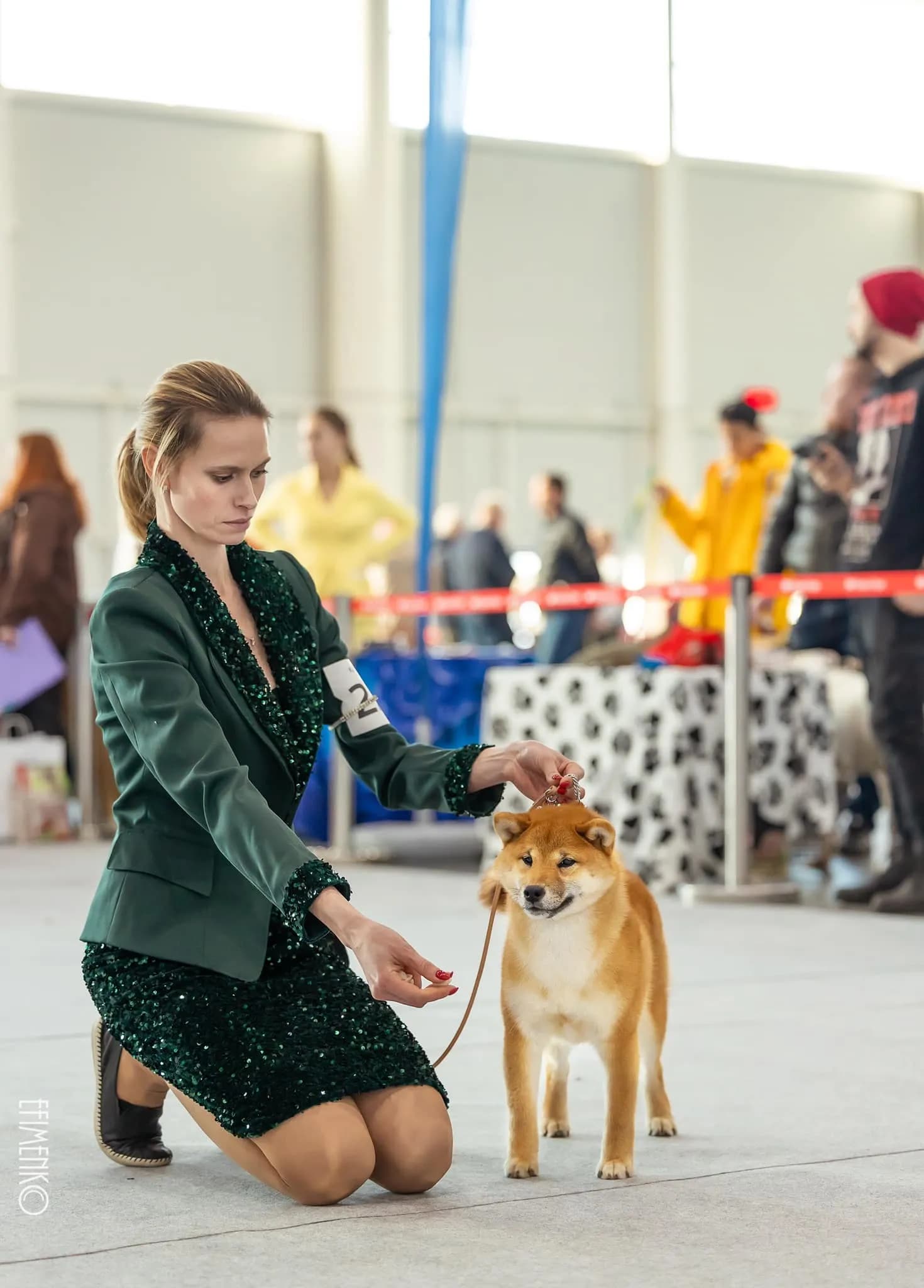 TERRA ASTREYA YAMASAKURA