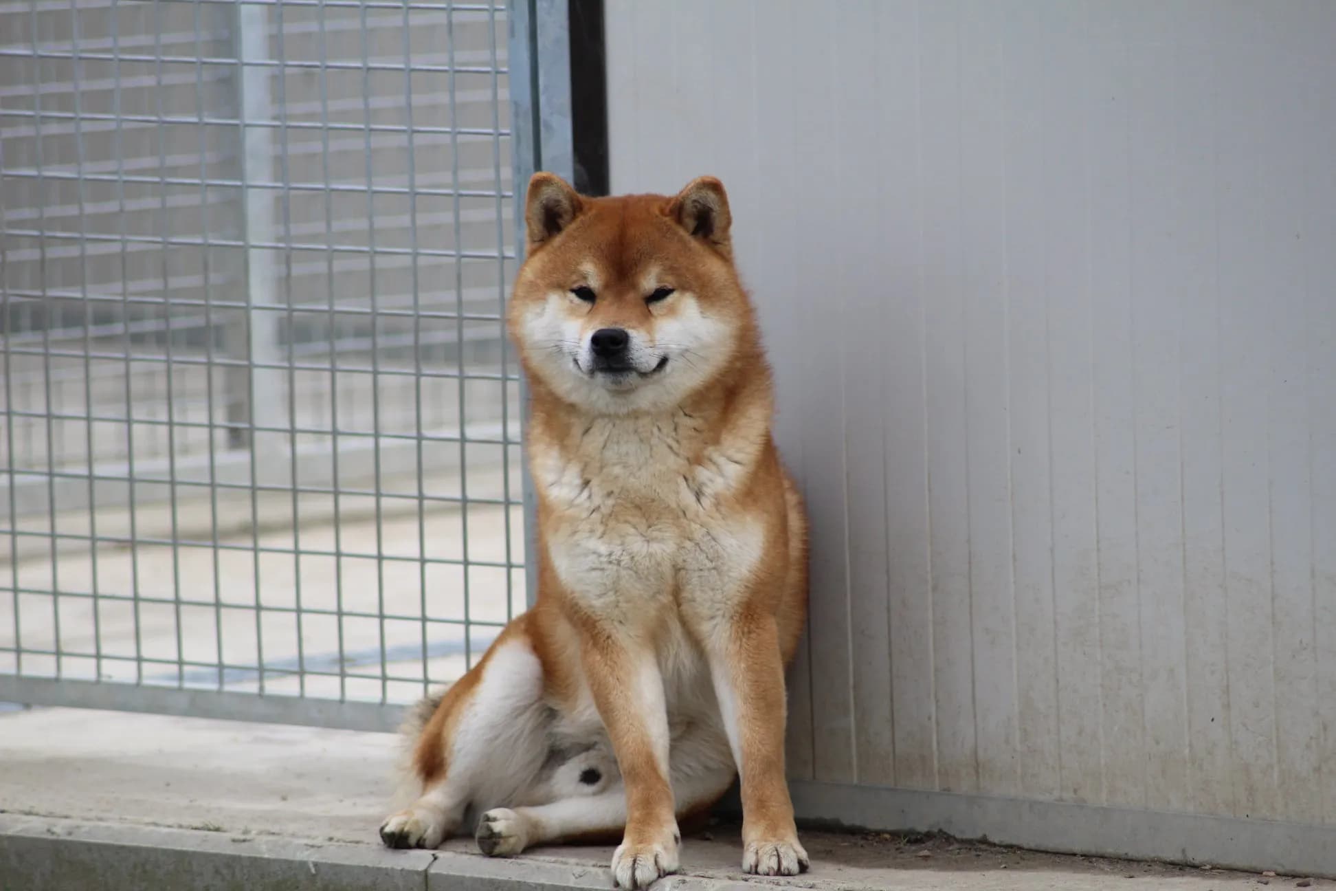 TERRA ASTREYA MOTOYA - фон