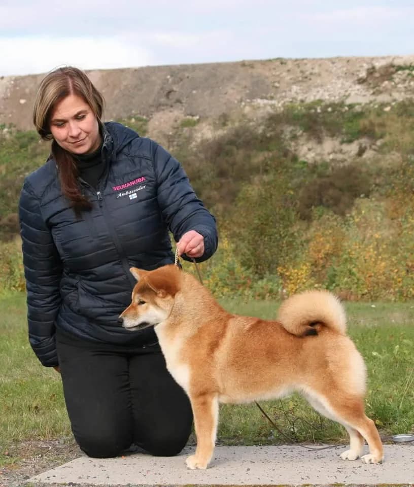 	TERRA ASTREYA HANACHIOKOMACHI