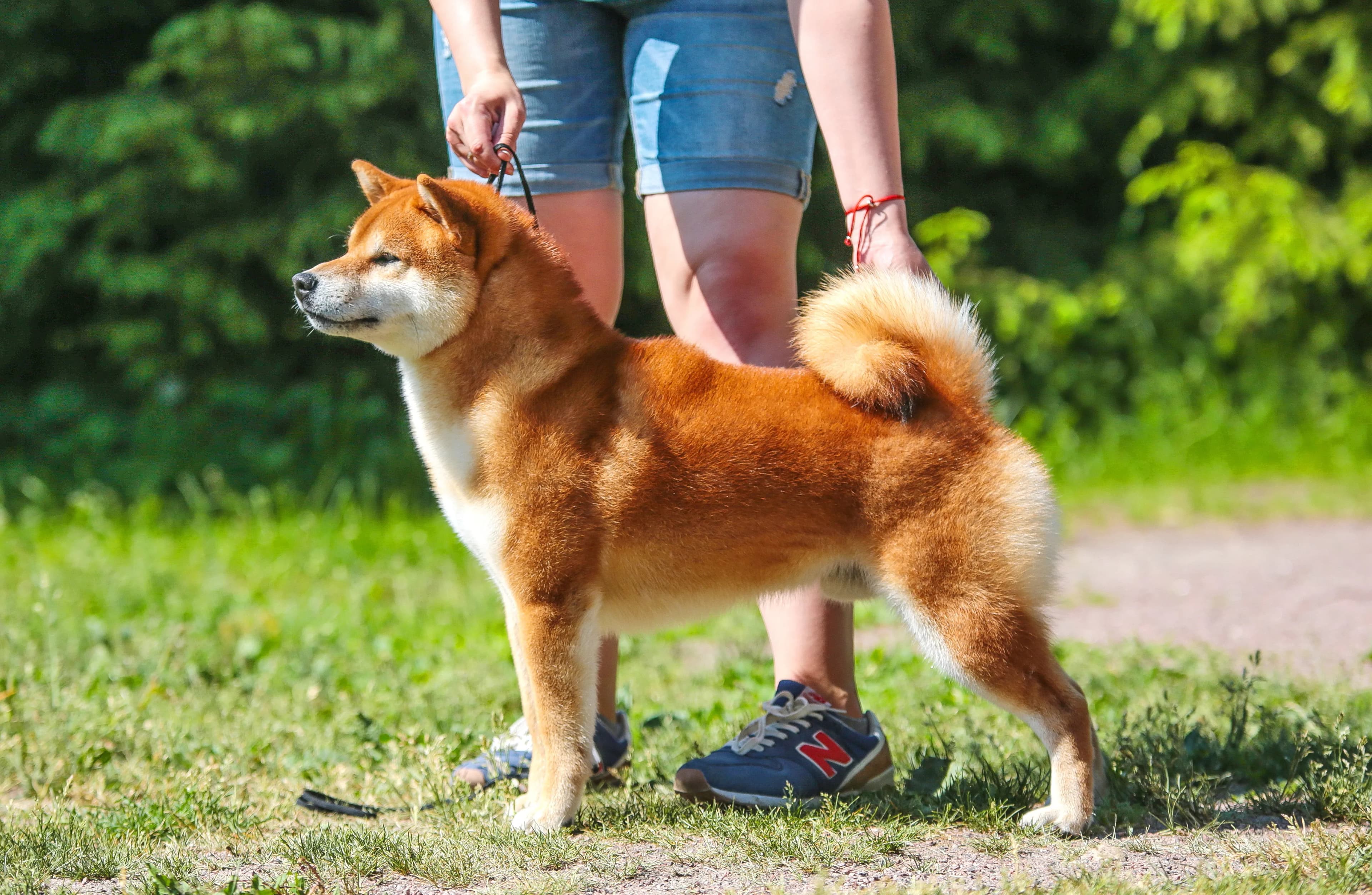 TERRA ASTREYA ISSUI BENIHOMARE - фон