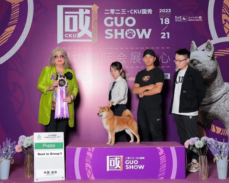 TERRA ASTREYA JESSIKA NUR - фон