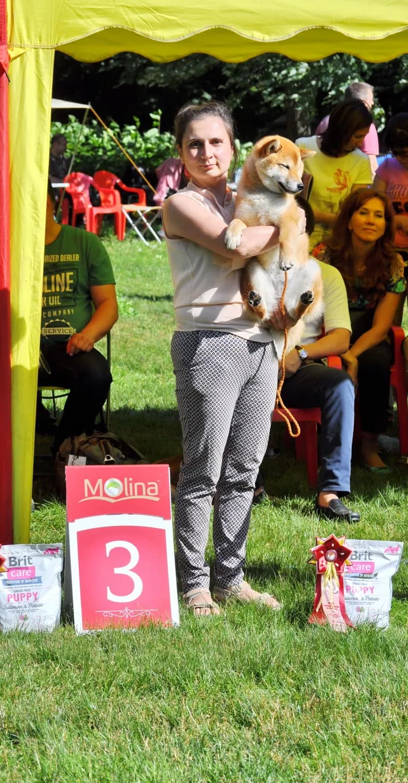 	TERRA ASTREYA BENIHANAKOMACHI - фон