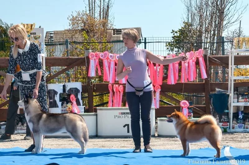 	TERRA ASTREYA IJIRI NO BENIHIME