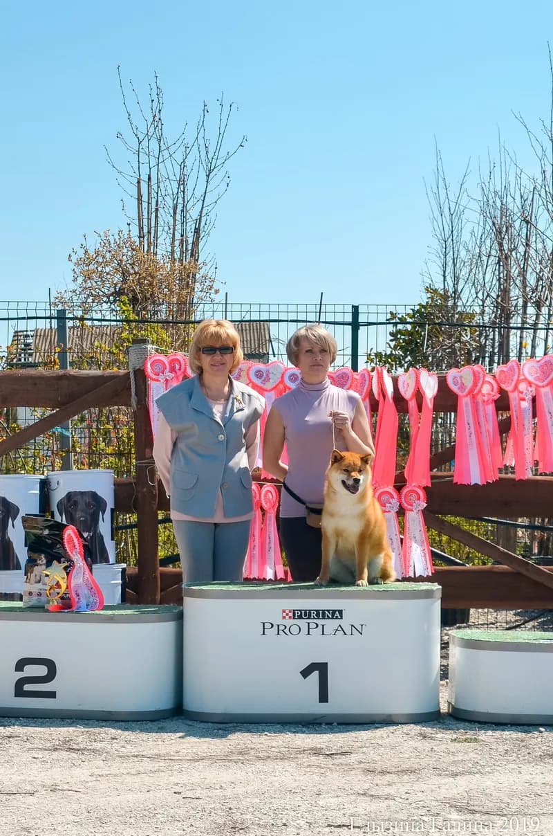 	TERRA ASTREYA IJIRI NO BENIHIME - фон