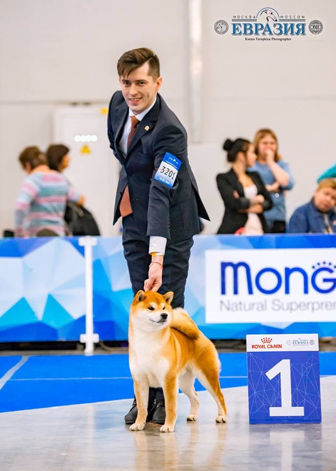 TERRA ASTREYA AKIRA ICHIRO