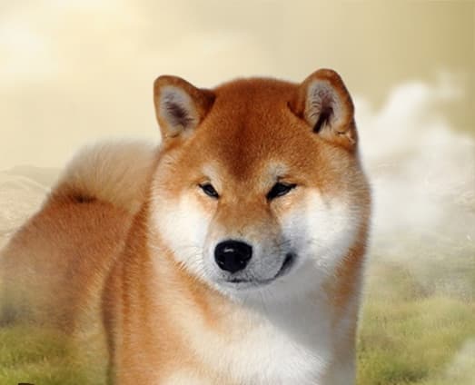 TERRA ASTREYA AKIRA ICHIRO