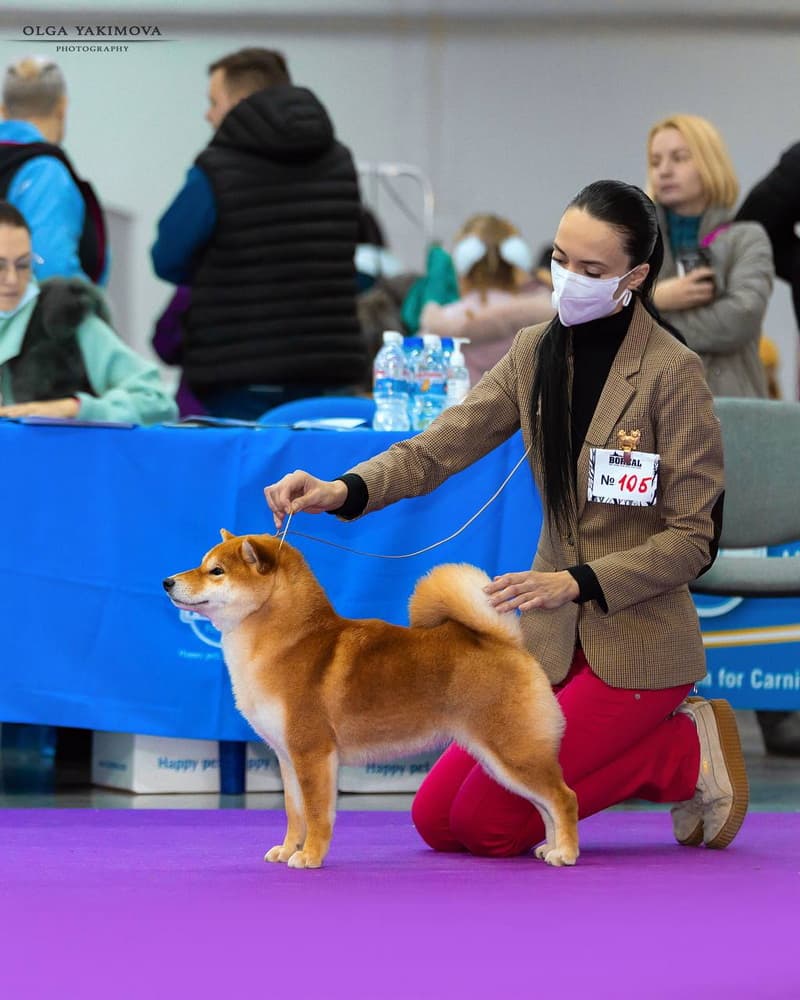 TERRA ASTREYA HARUKA MASANISHIKIHIME