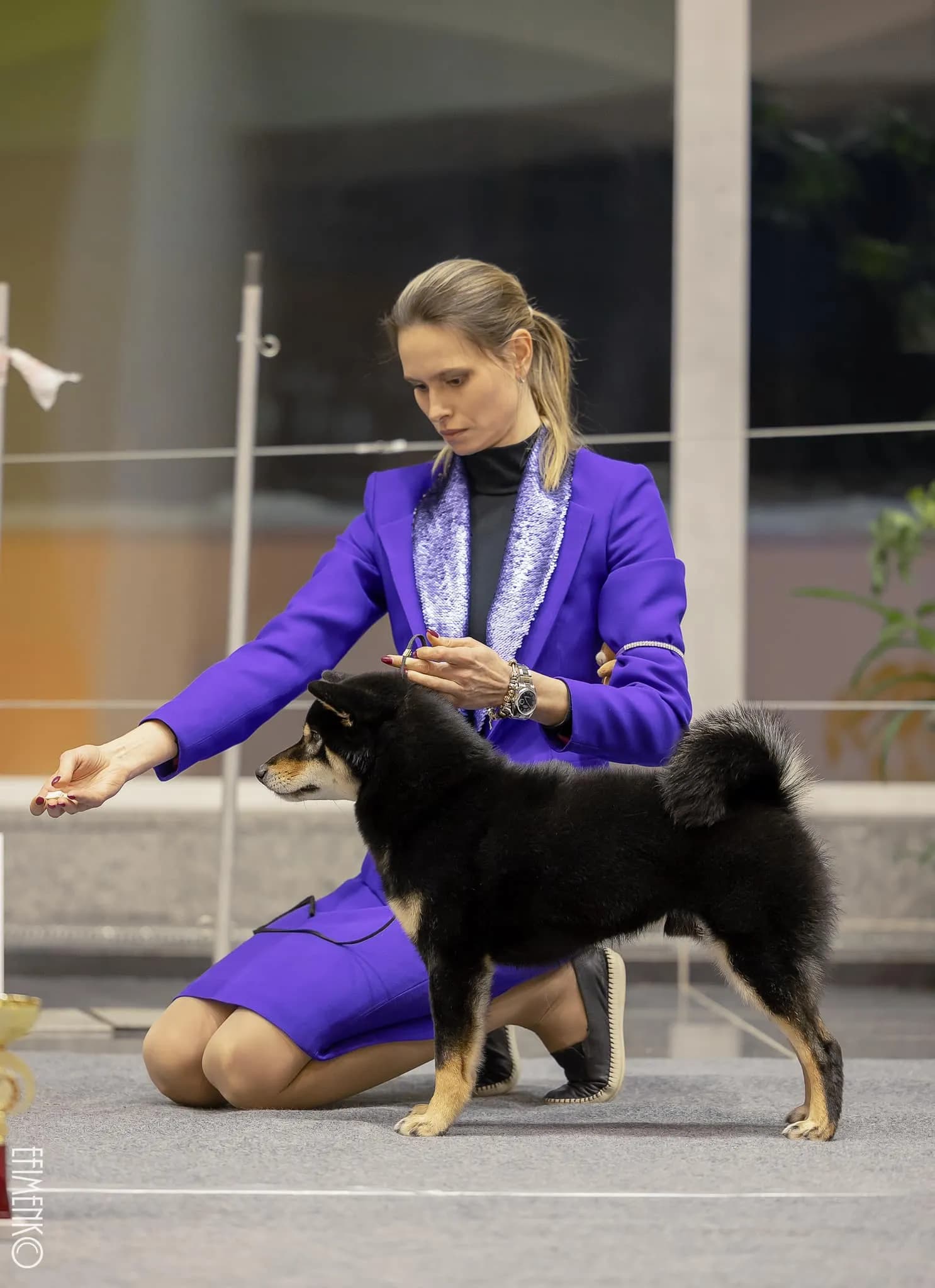 TERRA ASTREYA AOI KUROTENRIKI