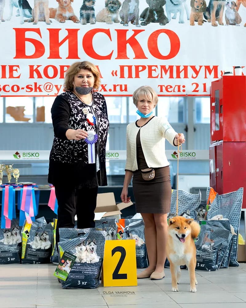 TERRA ASTREYA RINKA SUZUHANA