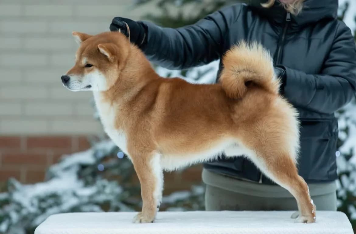 TERRA ASTREYA EIKO KEZUHIRO