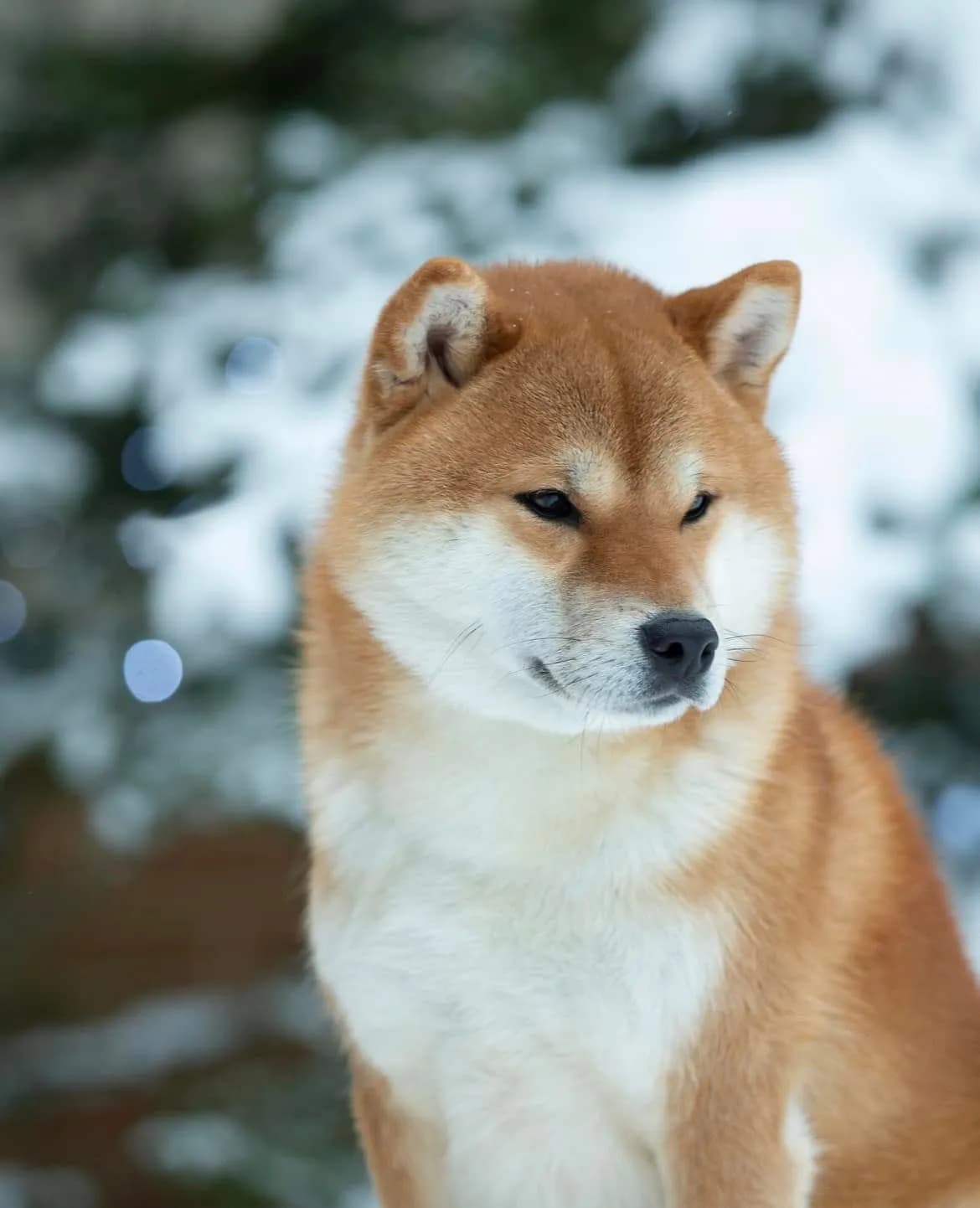 TERRA ASTREYA EIKO KEZUHIRO