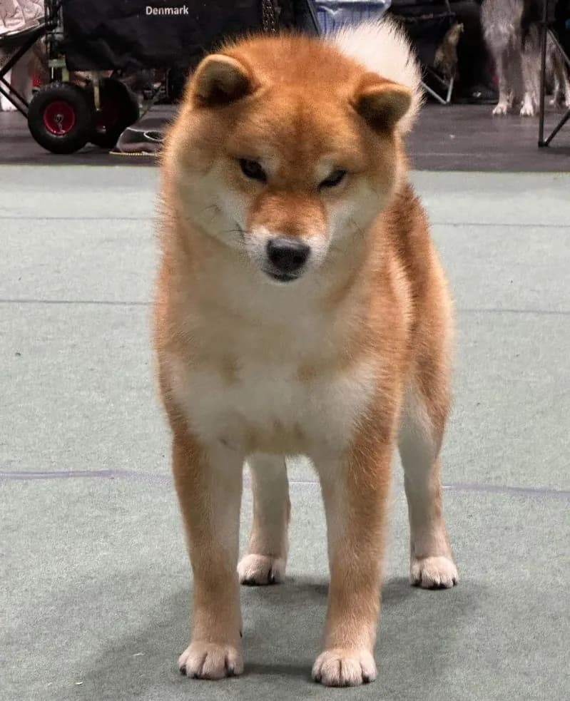 TERRA ASTREYA YUUICHIROU