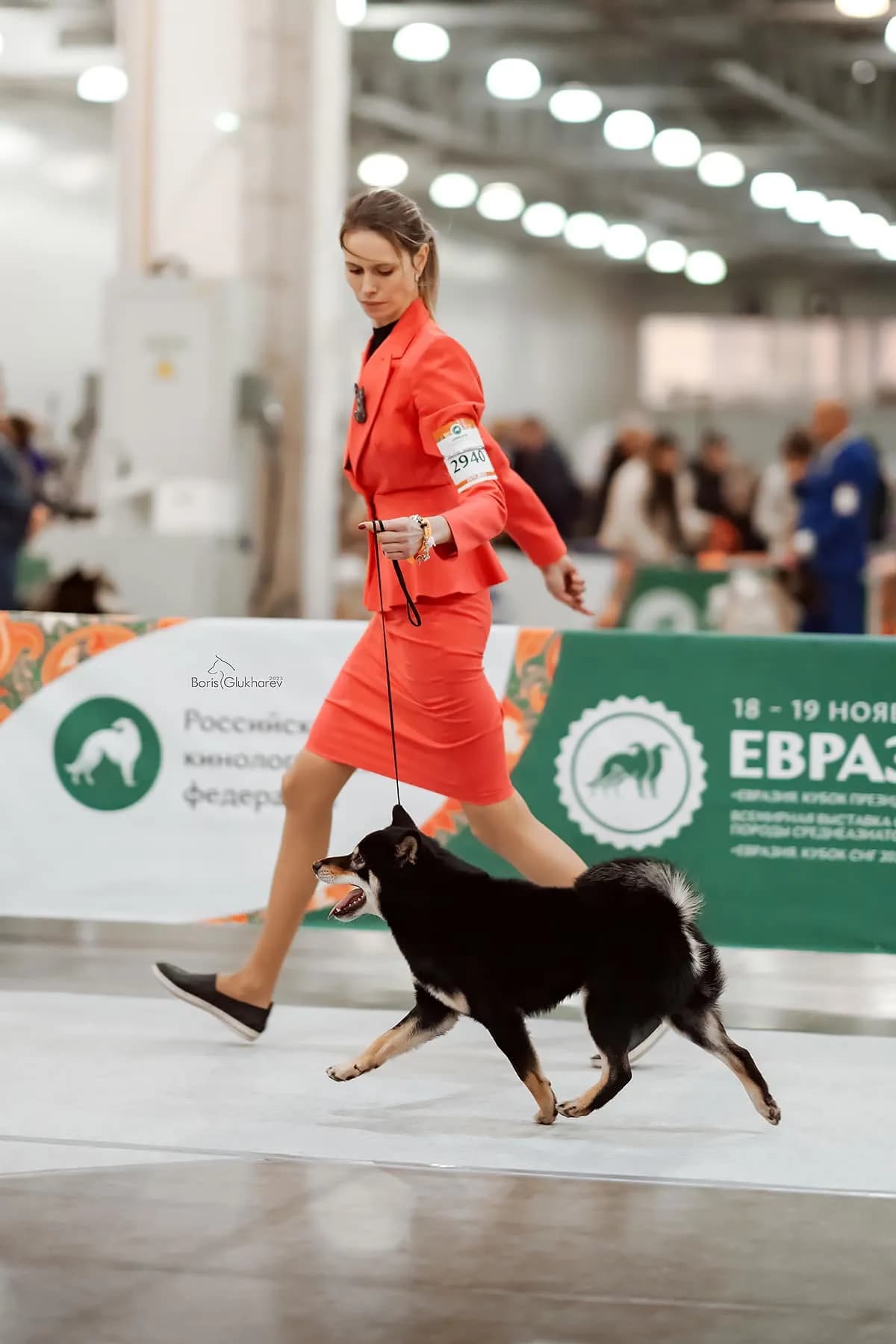 TERRA ASTREYA AOI KUROTENRIKI - фон