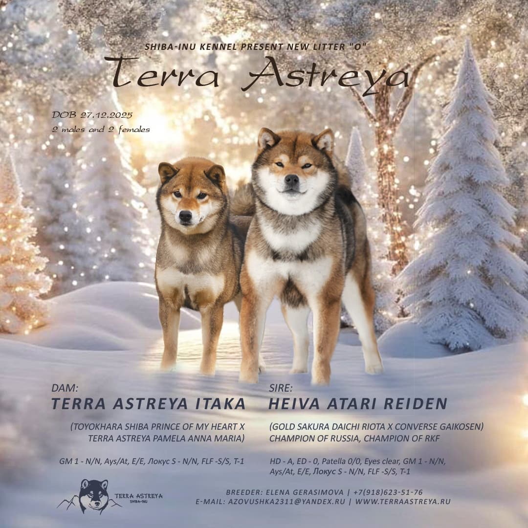 Рождение щенков. Литера "О".